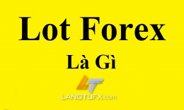 lot forex là gì