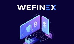 Wefinex